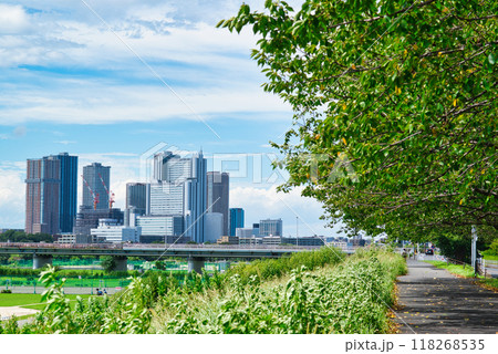 川崎市 武蔵小杉のタワーマンション群と桜並木の風景 川崎市 武蔵小杉のタワーマンション群と桜並木の風景 118268535