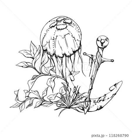 Jellyfish with anchor algae Marine life, sea ocean underwater creatures animal, Ink and pen sketch hand drawn. Composition illustration, stylized isolated on white. Shop, aquarium, cosmetics, resort 118268790