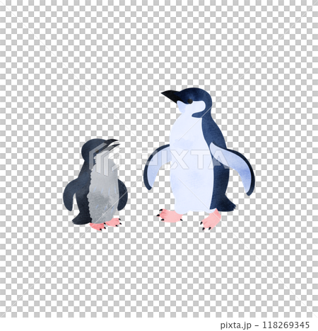 コガタペンギン（リトルペンギン、フェアリーペンギン）の雛と成鳥。水彩風イラスト。 118269345