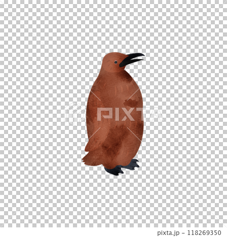 King penguin chick. Watercolor style illustration. 118269350