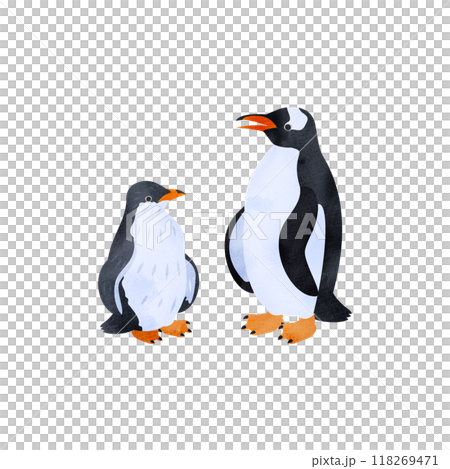 Gentoo penguin chick and adult. Watercolor style illustration. 118269471