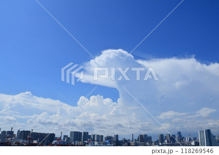 都心上空に広がる積乱雲 夏の空 都心上空に広がる積乱雲 夏の空 118269546