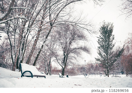 snowy alley in the park after snowfall, trees and benches in the snow. 118269656