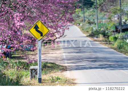 Travel warning signs are placed on the side of the road among suburban trees, such as Wild Himalayan Cherry, when Sakura trees are in full pink bloom and shade the walkways. 118270222