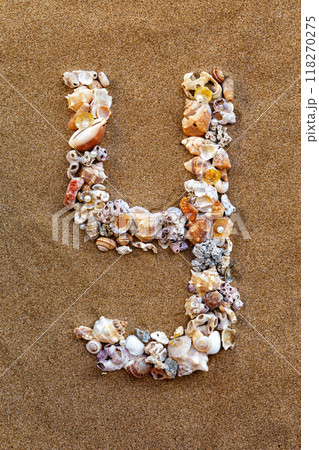 The letter Y of the English alphabet, a letter made of seashells on the sand. 118270275