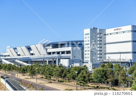 東京都江東区豊洲　様々な水産物を取り扱う快晴の豊洲市場（水産卸売場棟） 118270601