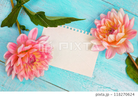 summer background. dahlias and a canvas on a blue wooden background. art. space for a text summer background. dahlias and a canvas on a blue wooden background. art. space for a text 118270624