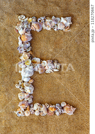 The letter E of the English alphabet, a letter made of seashells on the sand. The letter E of the English alphabet, a letter made of seashells on the sand. 118270667