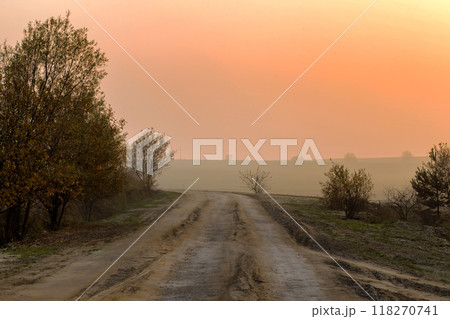 beautiful Ukrainian landscape. Road to the village 118270741