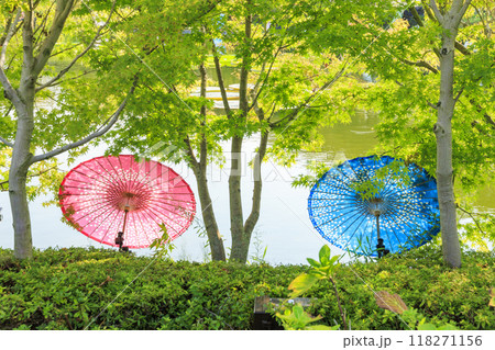なばなの里　和傘と秋の花々 118271156