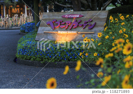 なばなの里　里の夏あかり　ベゴニア ナイト カーニバル 118271893