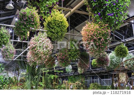 なばなの里　里の夏あかり　ベゴニア ナイト カーニバル 118271918