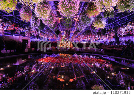 なばなの里 里の夏あかり ベゴニア ナイト カーニバル なばなの里 里の夏あかり ベゴニア ナイト カーニバル 118271933