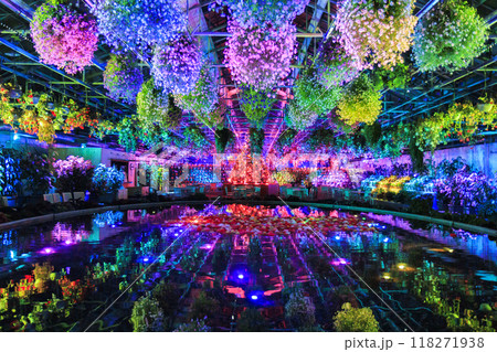 なばなの里　里の夏あかり　ベゴニア ナイト カーニバル 118271938