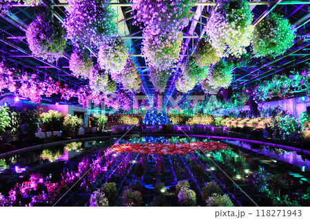 なばなの里　里の夏あかり　ベゴニア ナイト カーニバル 118271943