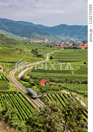 Wachau valley with a train passing through the countryside between vineyards against Weissenkirchen village in Lower Austria, Austria 118272089