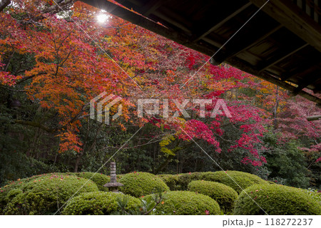 朝日射す秋の庭園 朝日射す秋の庭園 118272237
