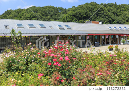 ぎふワールド・ローズガーデン 118272281