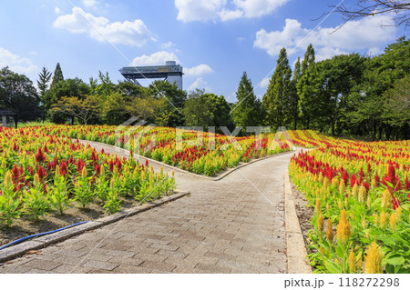 ぎふワールド・ローズガーデン 118272298
