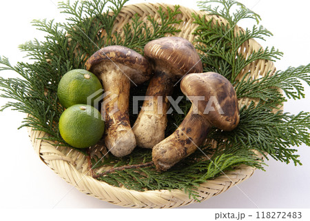 松茸 松茸 118272483