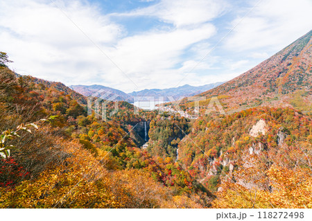 【栃木県】秋の紅葉と華厳の滝(10月) 【栃木県】秋の紅葉と華厳の滝(10月) 118272498