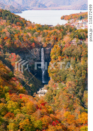 【栃木県】秋の紅葉と華厳の滝(10月) 【栃木県】秋の紅葉と華厳の滝(10月) 118272499