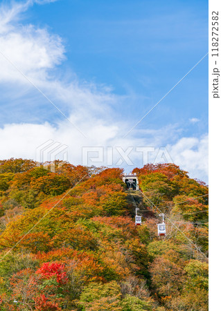 【栃木県】紅葉に染まる日光明智平（10月） 118272582