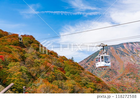 【栃木県】紅葉に染まる日光明智平(10月) 【栃木県】紅葉に染まる日光明智平(10月) 118272588