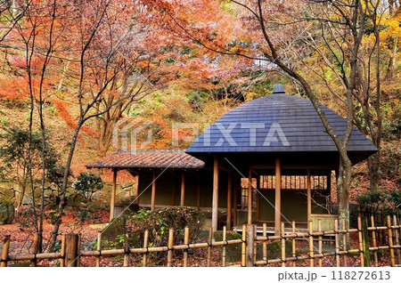 神奈川県立七沢森林公園　せせらぎ広場の寸草亭と紅葉 118272613