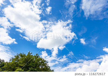 夏の雲と木立 夏の雲と木立 118272617