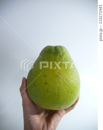 フルーツ 果物 果実 118272981