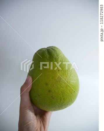 フルーツ 果物 果実 118272983