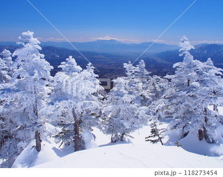 八ヶ岳・編笠山の樹氷と富士の遠望 八ヶ岳・編笠山の樹氷と富士の遠望 118273454