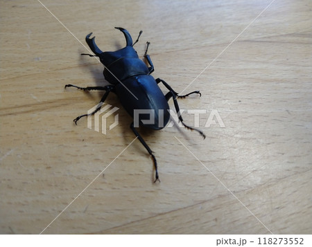 机上のコクワガタのオス 118273552