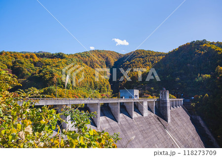 秋の箕輪ダム（もみじ湖） 118273709