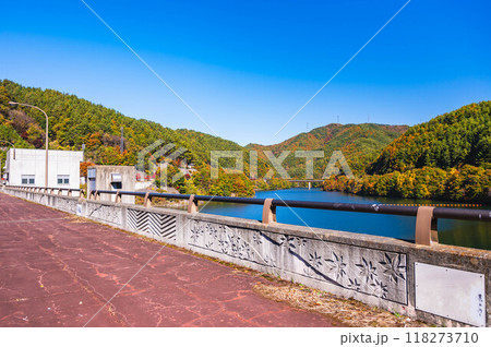 秋のもみじ湖（箕輪ダム） 118273710