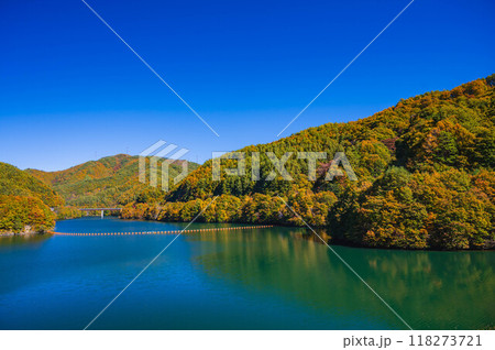 紅葉が広がるもみじ湖　 118273721