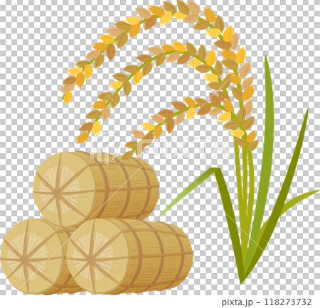 Rice and rice bales Rice and rice bales 118273732