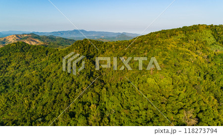 Aerial view Tropical Rainforest trees mountains,Top view green forest background 118273794