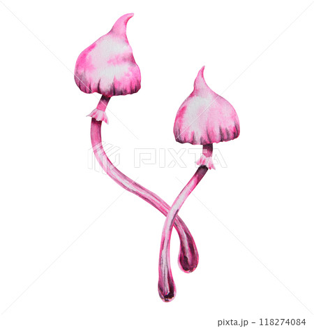 Pink poisonous mushroom. Galerina marginata, Watercolor hand drawn illustration. Clip art for Halloween cards, fairy tales, book, prints. Attribute of witches' sabbath, esotericism, magical forest 118274084