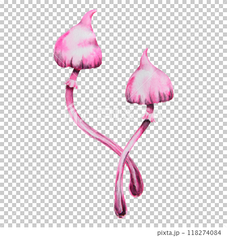 Pink poisonous mushroom. Galerina marginata, Watercolor hand drawn illustration. Clip art for Halloween cards, fairy tales, book, prints. Attribute of witches' sabbath, esotericism, magical forest 118274084