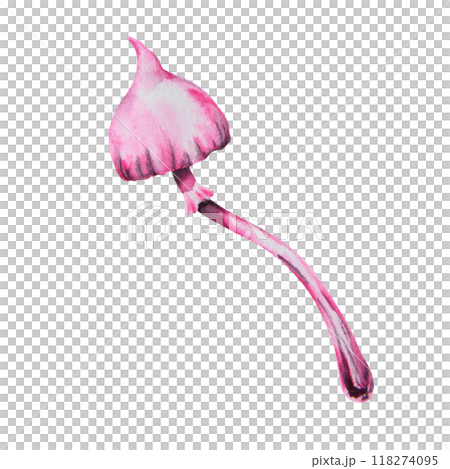 Pink poisonous mushroom. Galerina marginata, Watercolor hand drawn illustration. Clip art for Halloween cards, fairy tales, book, prints. Attribute of witches' sabbath, esotericism, magical forest 118274095