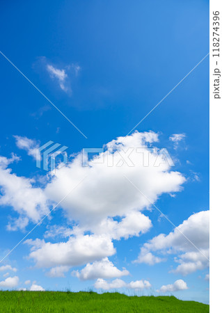 夏の青空と草原 夏の青空と草原 118274396