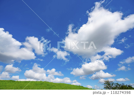 夏の青空と草原 118274398