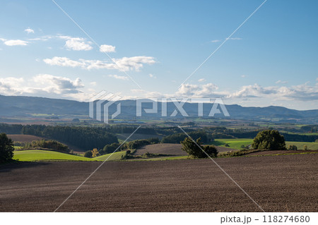 秋の丘陵畑作地帯 118274680