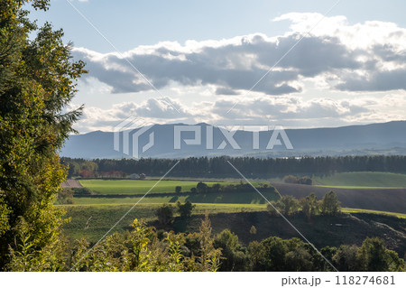 夕陽を反射する緑の麦畑と秋の丘陵地帯 夕陽を反射する緑の麦畑と秋の丘陵地帯 118274681