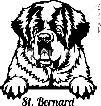 Peeking Saint Bernard - Dog lover owner gift - Dog cut file - Peeking Dog Cut Stencil 118274747