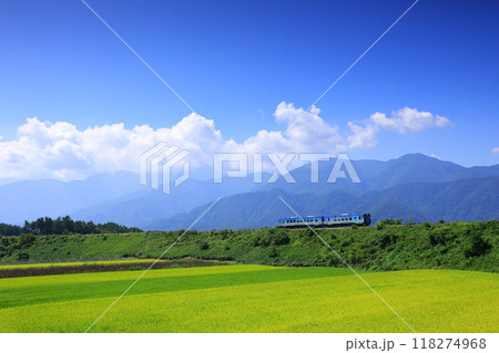 秋の八ヶ岳高原を行く観光列車 118274968