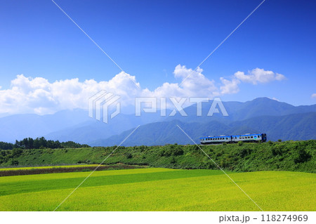 秋の八ヶ岳高原を行く観光列車 118274969