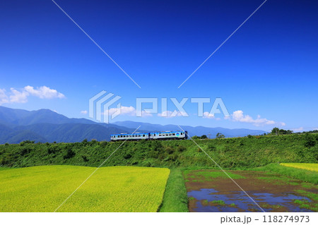 秋の八ヶ岳高原を行く観光列車 秋の八ヶ岳高原を行く観光列車 118274973